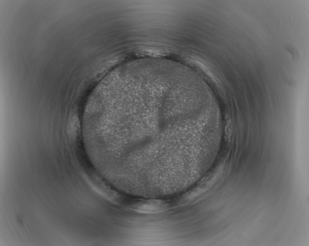 X0000113270459200910081404