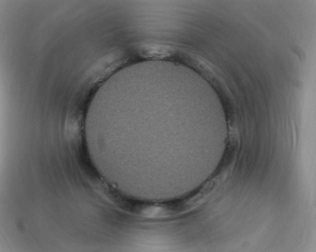 X0000113270460200910081404