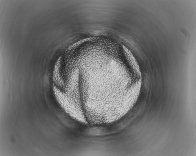 X0000113270461200910081404