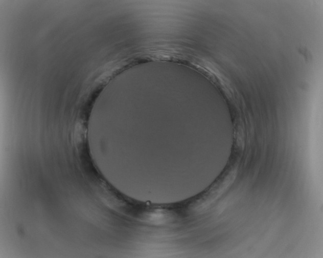 X0000113270467200910081404