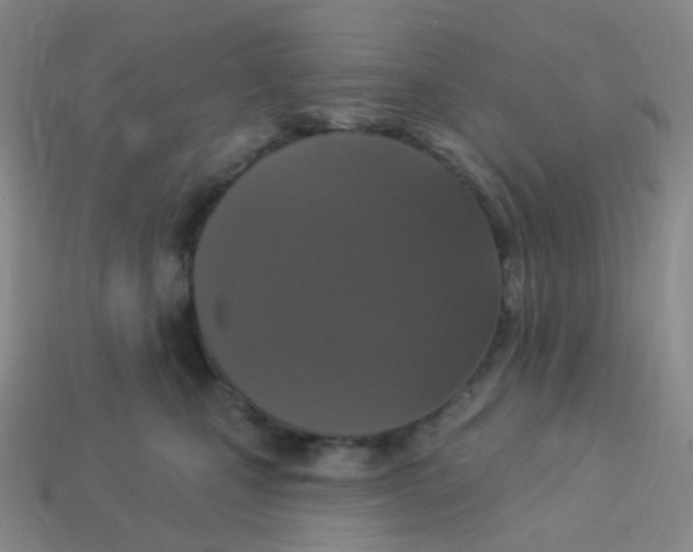 X0000113270471200910081404