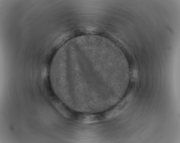 X0000113270472200910081404