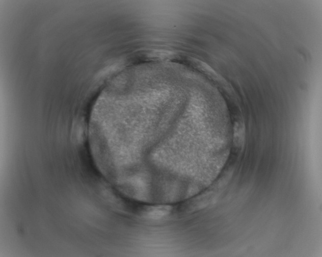 X0000113270474200910081404