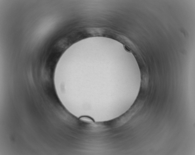 X0000113270477200910081404