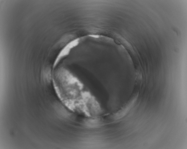 X0000113270479200910081404