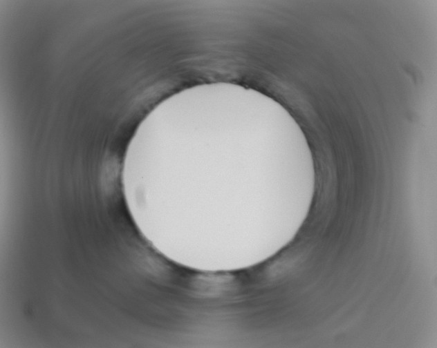 X0000113270480200910081404