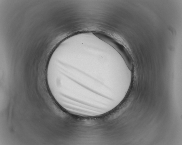 X0000113270481200910081404