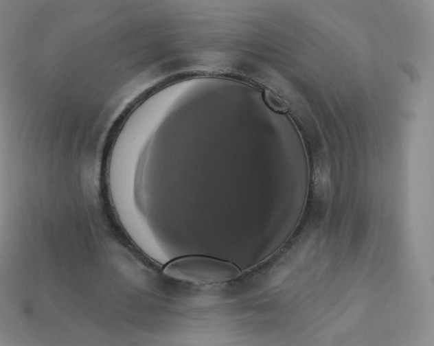 X0000113270484200910081404