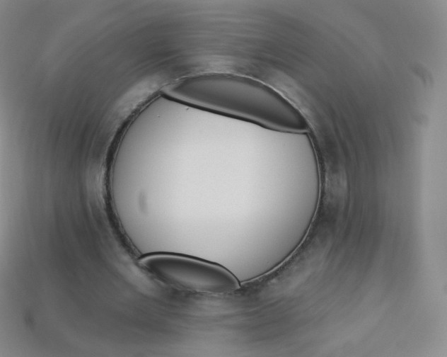 X0000113270485200910081404