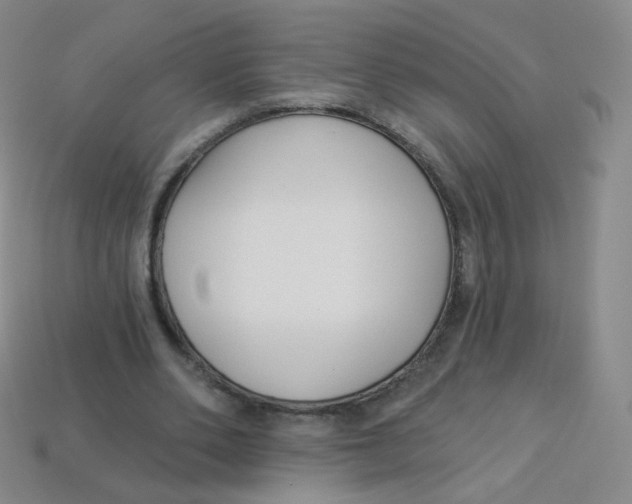 X0000113270486200910081404