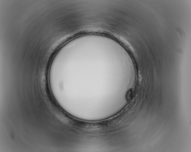 X0000113270487200910081404