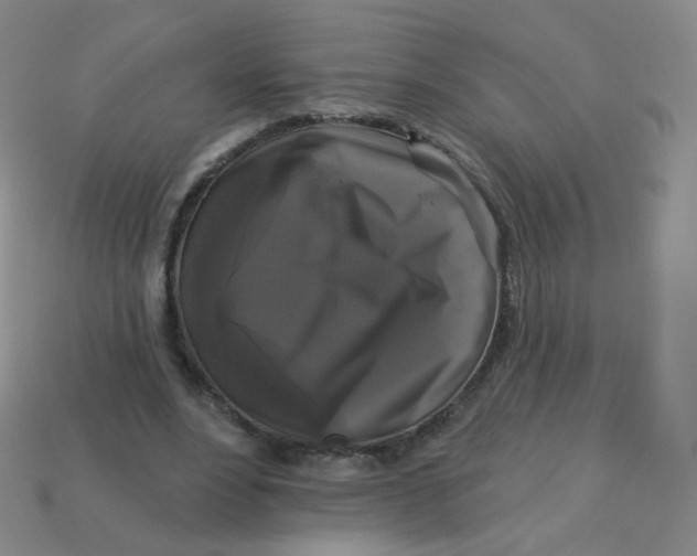 X0000113270488200910081404