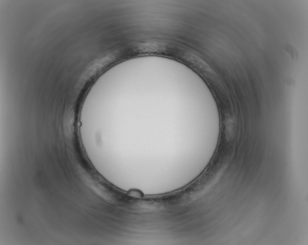 X0000113270490200910081404