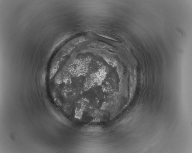 X0000113270491200910081403