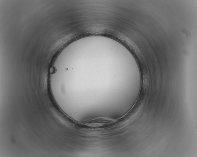 X0000113270493200910081403