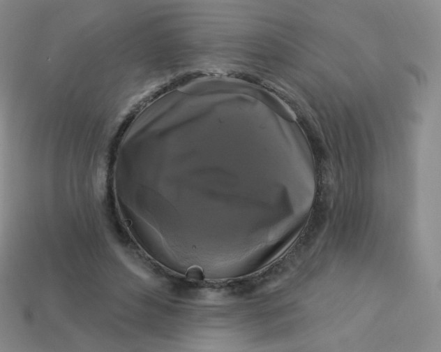 X0000113270496200910081403