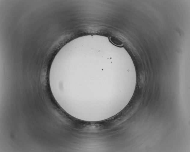 X0000113270497200910081403