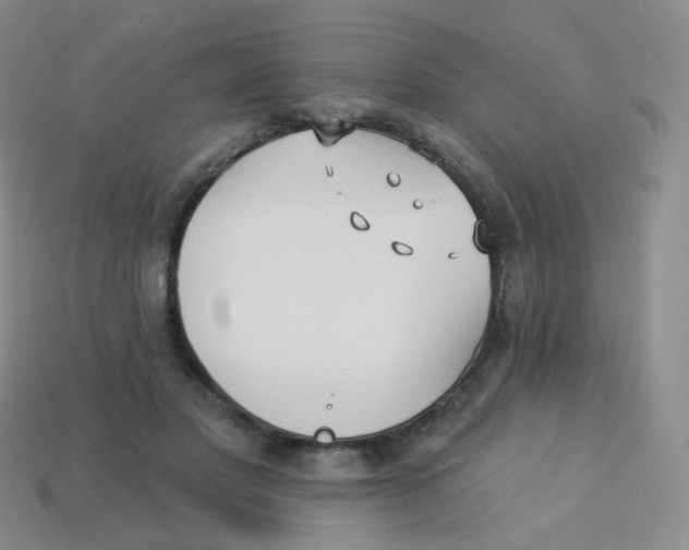 X0000113270501200910081403