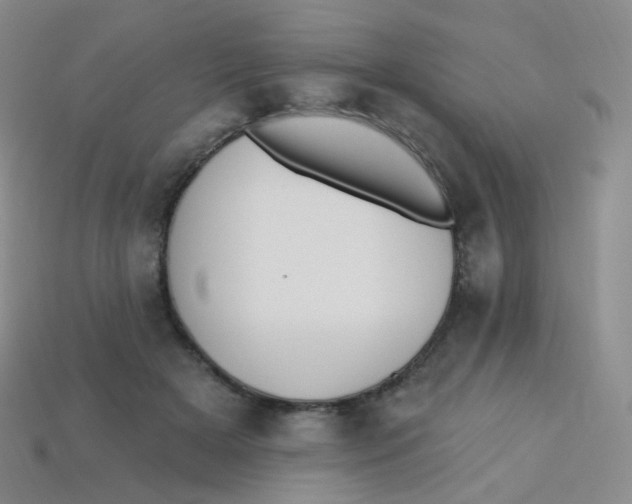 X0000113270505200910081403