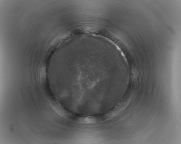 X0000113270506200910081403