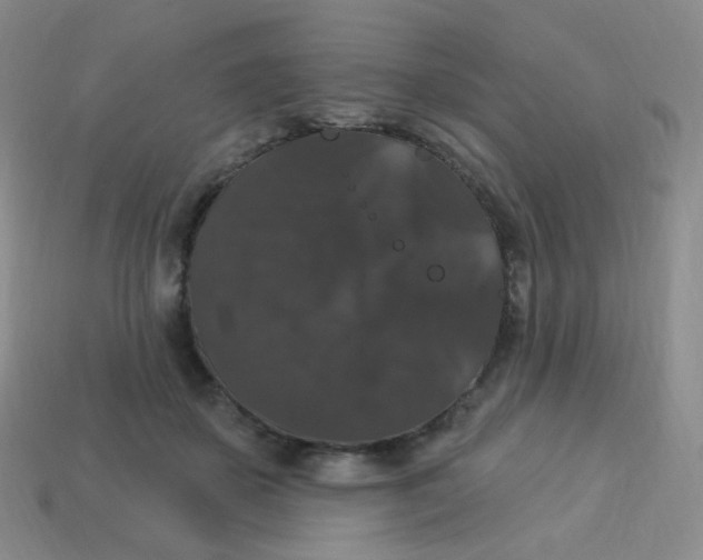 X0000113270507200910081403