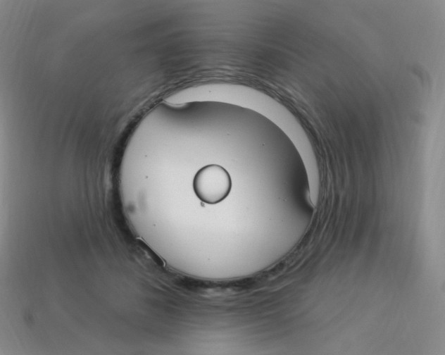 X0000113270508200910081403