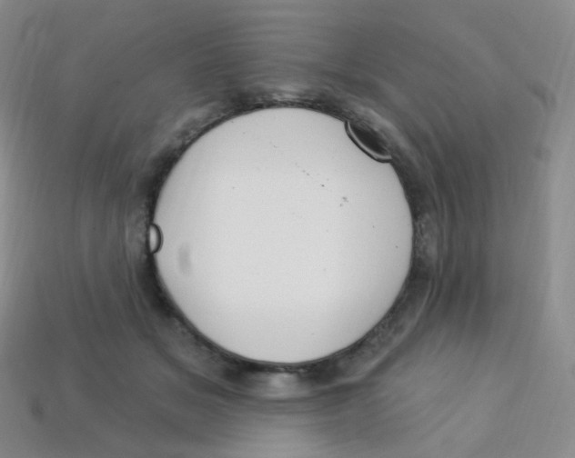 X0000113270509200910081403