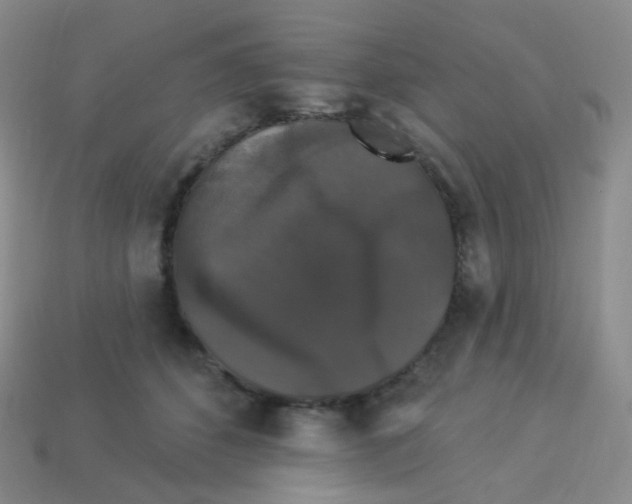 X0000113270512200910081403