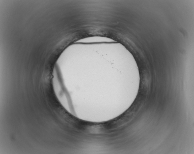 X0000113270513200910081403