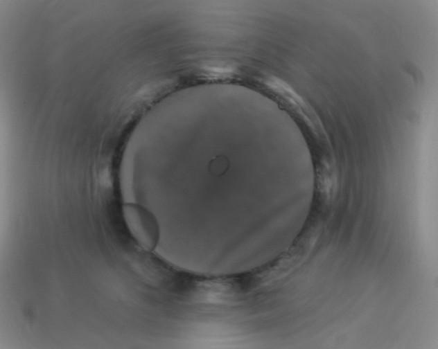 X0000113270516200910081403