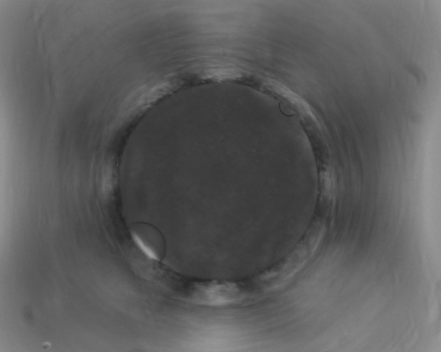 X0000113270517200910081403