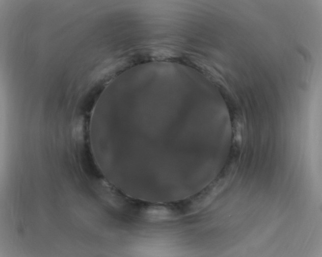 X0000113270519200910081403