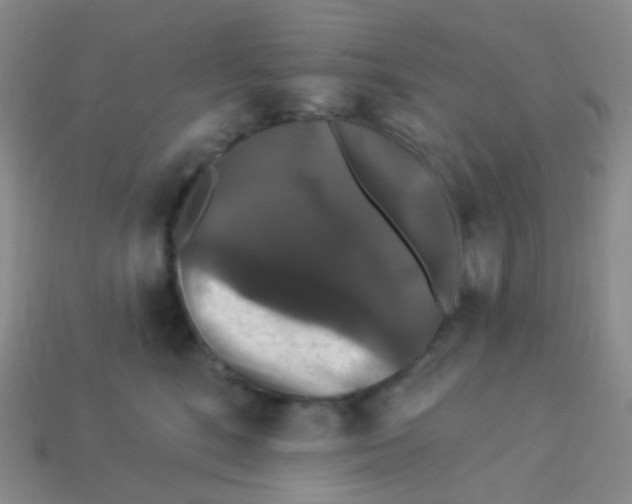 X0000113270520200910081403