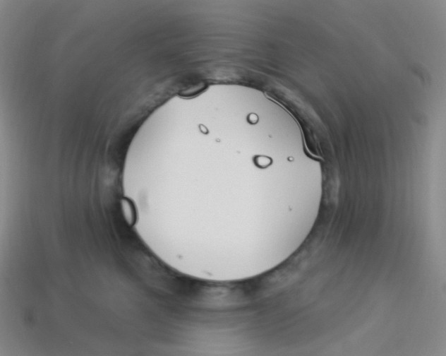 X0000113270521200910081403