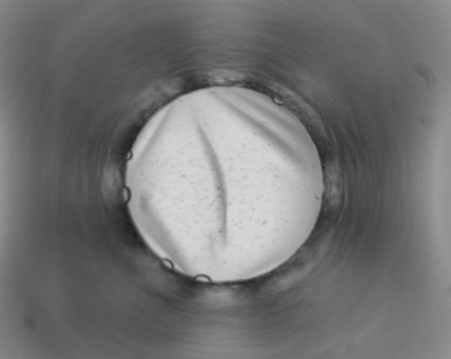 X0000113270523200910081403