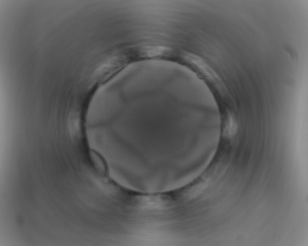 X0000113270524200910081403