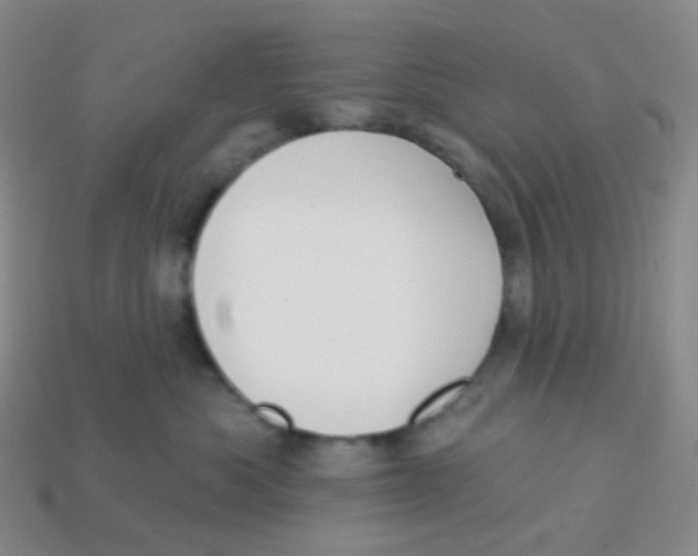 X0000113270525200910081403