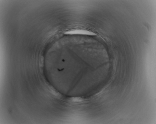 X0000113270528200910081403