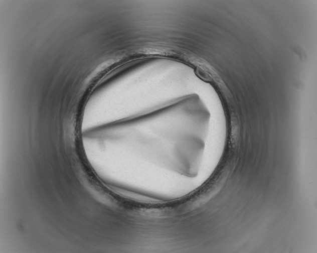 X0000113270530200910081402