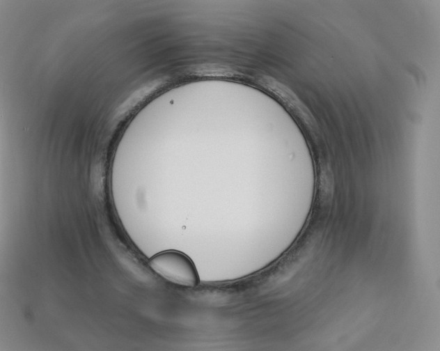 X0000113270533200910081402