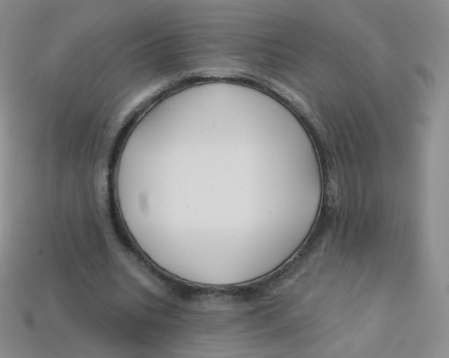 X0000113270535200910081402