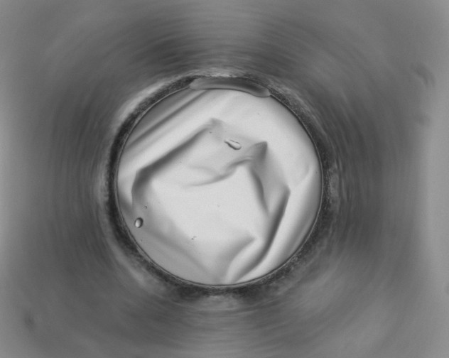 X0000113270536200910081402