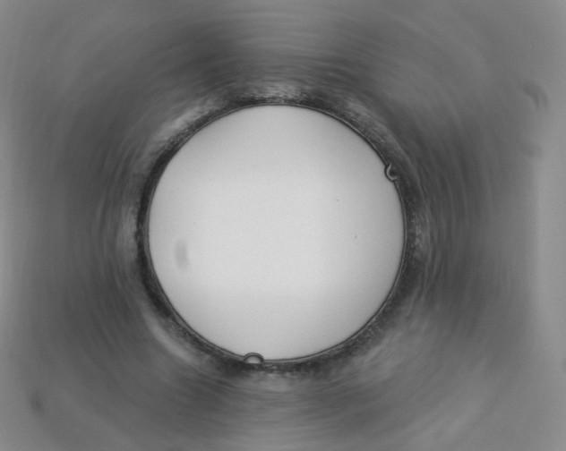 X0000113270538200910081402