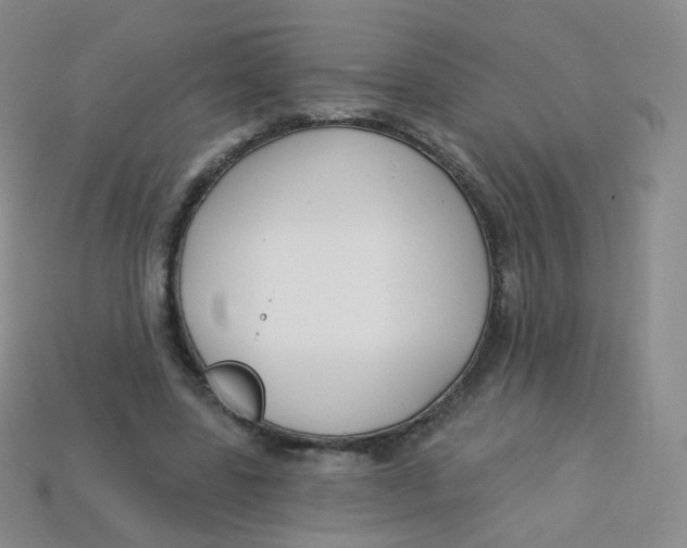 X0000113270539200910081402