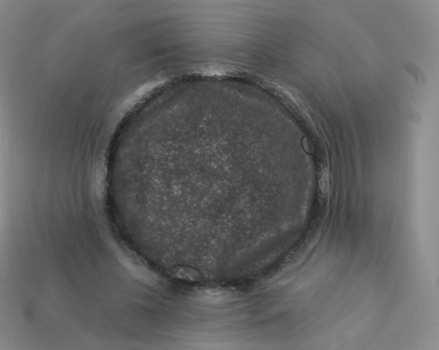 X0000113270540200910081402