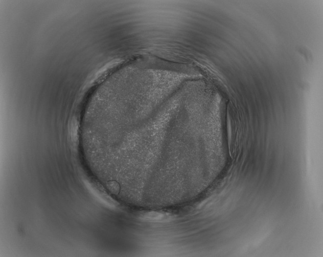 X0000113270542200910081402