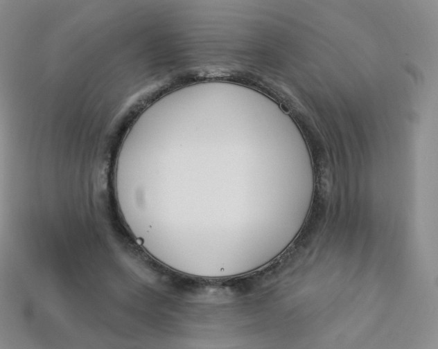 X0000113270543200910081402