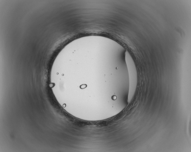 X0000113270544200910081402