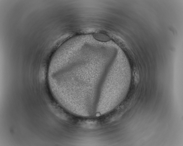 X0000113270546200910081403