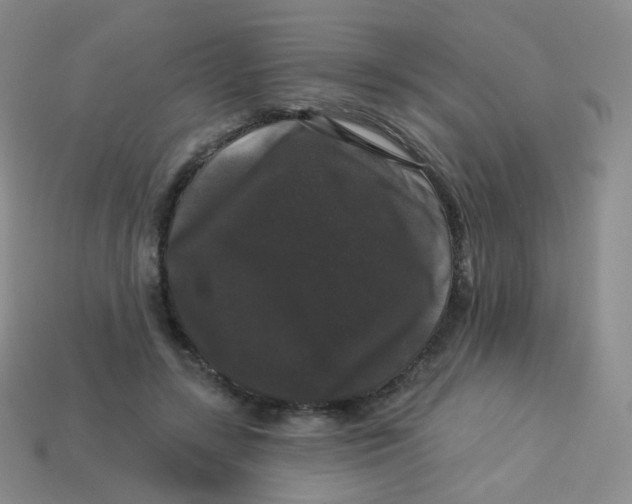 X0000113270547200910081403